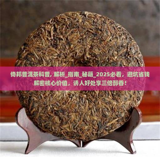 倚邦普洱茶科普