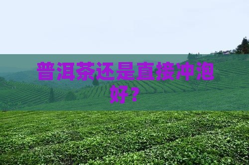 老普洱茶用煮吗