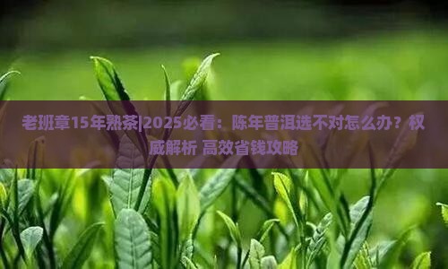 老班章15年熟茶
