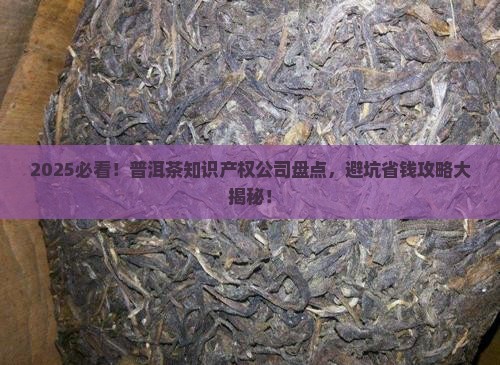 普洱茶知识产权公司推荐