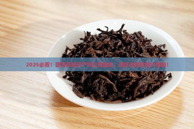 普洱茶知识产权公司推荐