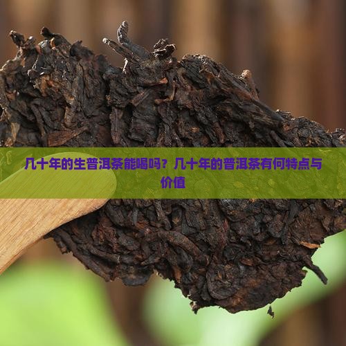 几十年的生普洱茶