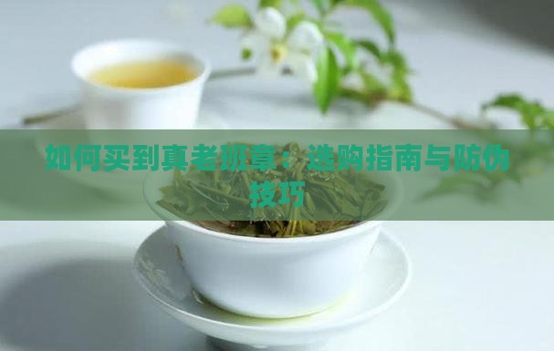 如何买到真老班章
