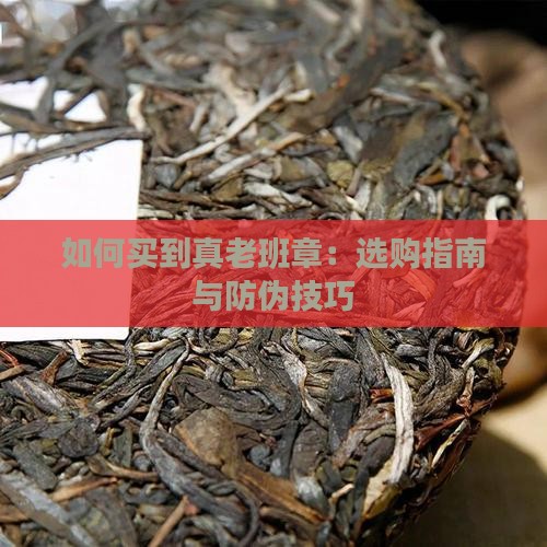 如何买到真老班章
