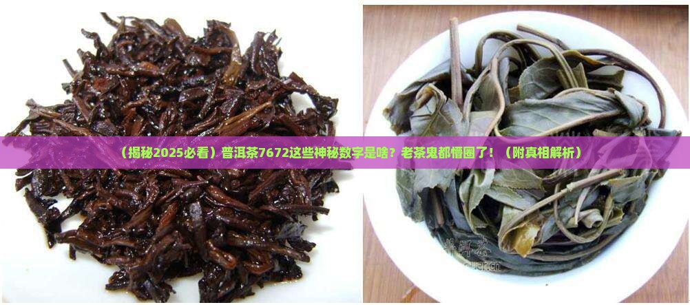 普洱茶7672这些数字代表什么