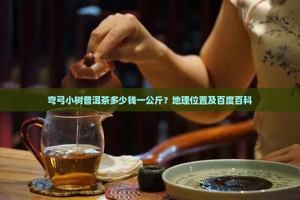 弯弓小树普洱茶