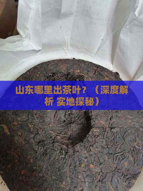 山东哪里出茶叶