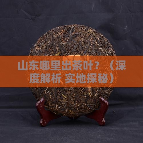 山东哪里出茶叶