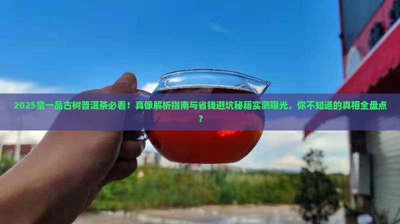 皇一品古树普洱茶