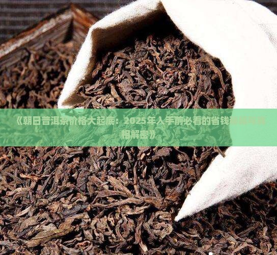 朝日普洱茶价格