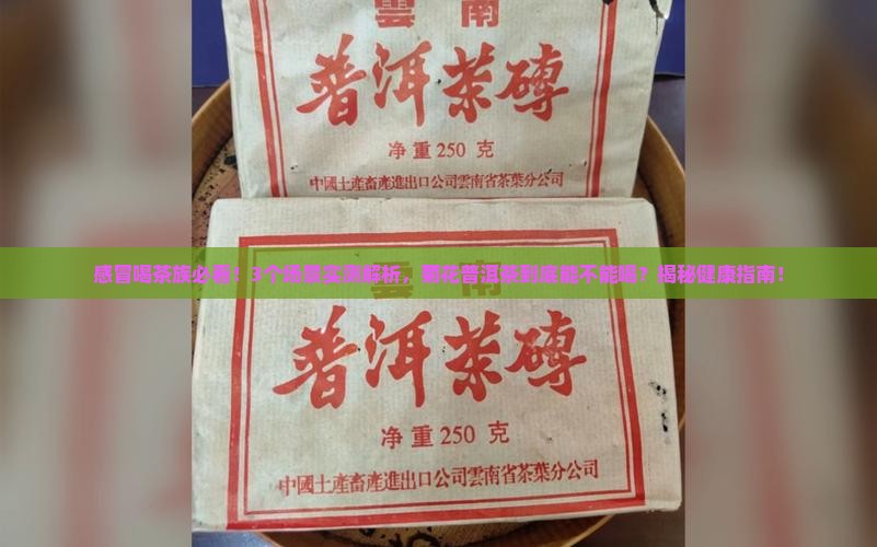 感冒喝菊花普洱茶可以吗