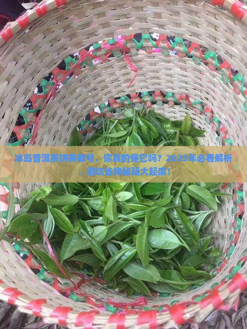 冰岛普洱茶饼英敏号
