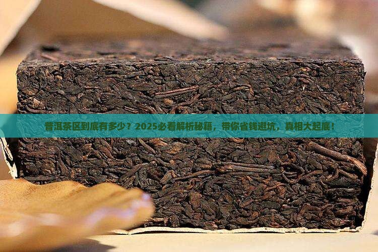 普洱茶区有多少