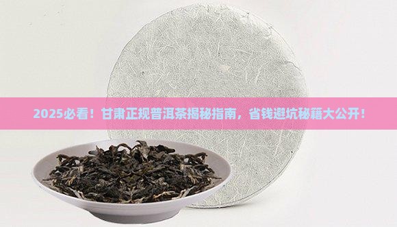 甘肃正规的普洱茶