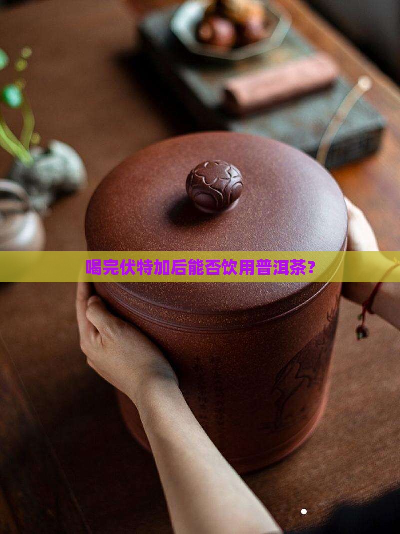 喝完伏特加能喝普洱茶吗