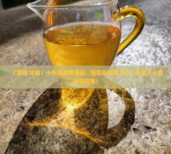 西双版普洱茶陈香十年