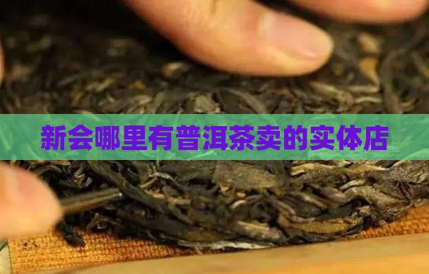新会哪里有普洱茶卖的实体店