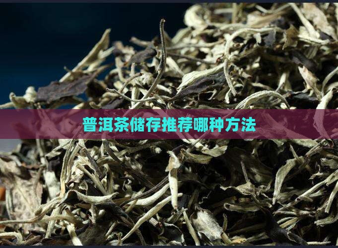 普洱茶储存推荐是哪种