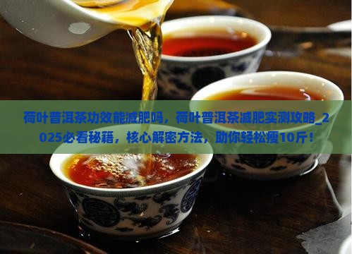 荷叶普洱茶功效能减肥吗