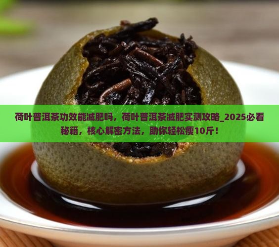 荷叶普洱茶功效能减肥吗