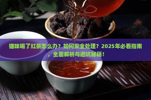 猫咪喝了红茶怎么办