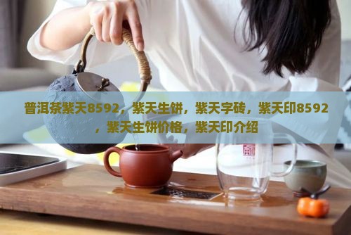 普洱茶紫天8592