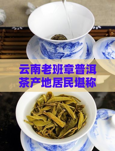 老班章居民是不是特别有钱