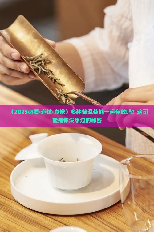 多种普洱茶一起存放