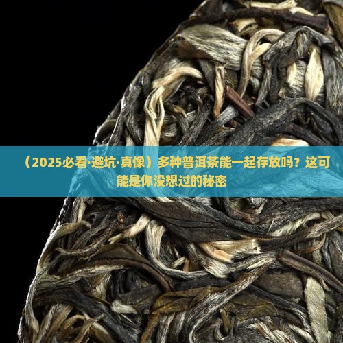 多种普洱茶一起存放