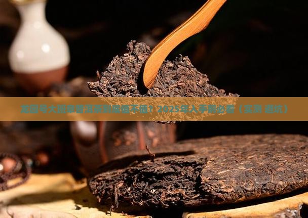 龙园号大班章普洱茶价格