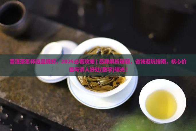 普洱茶怎样选品牌好