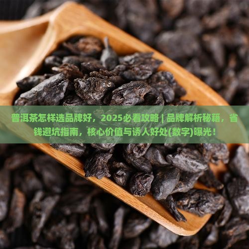 普洱茶怎样选品牌好