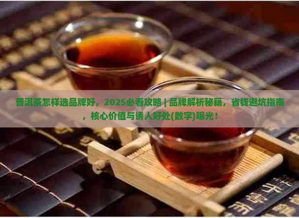 普洱茶怎样选品牌好