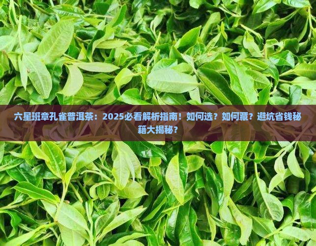 六星班章孔雀普洱茶