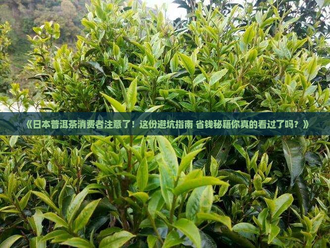日本普洱茶消费者投诉平台