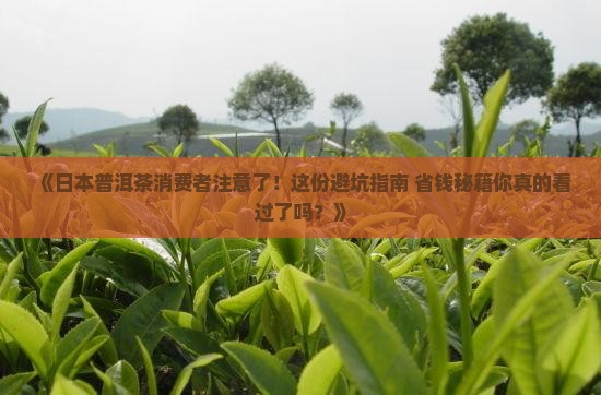 日本普洱茶消费者投诉平台