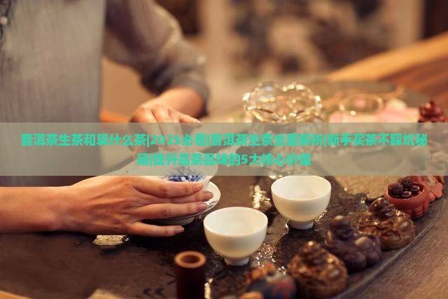 普洱茶生茶和算什么茶