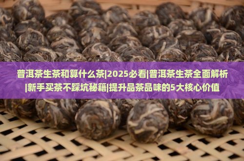 普洱茶生茶和算什么茶