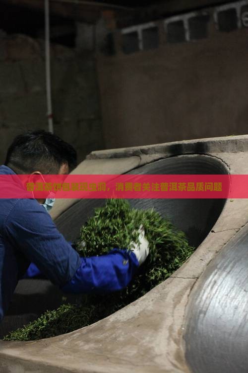 普洱茶饼包装虫洞