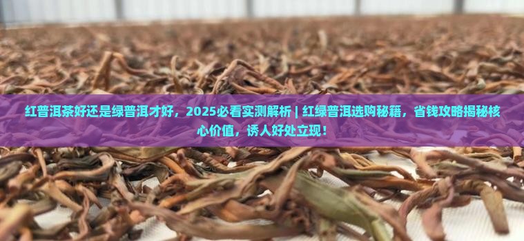 红普洱茶好还是绿普洱才好
