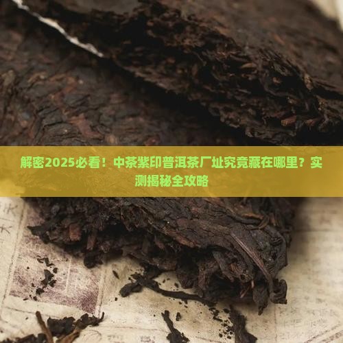 中茶紫印普洱茶厂址在哪里