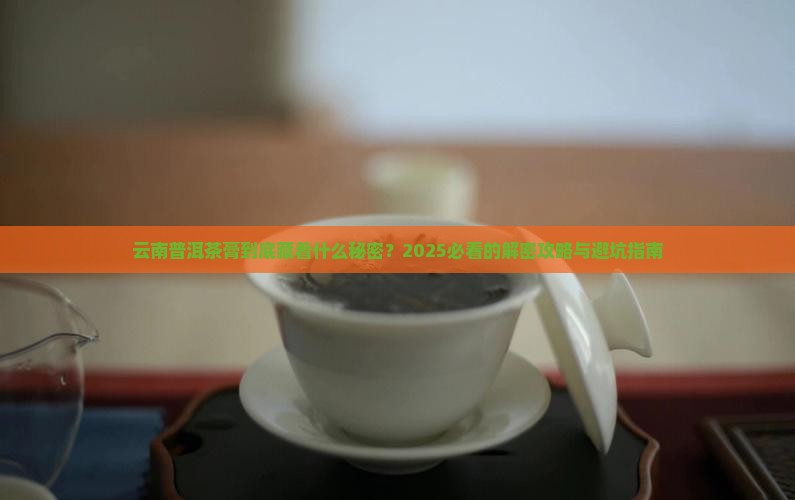 云南普洱茶膏的发展