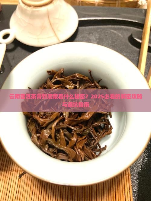 云南普洱茶膏的发展