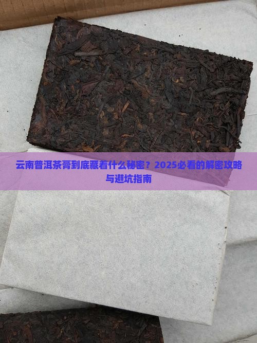 云南普洱茶膏的发展