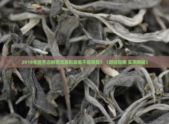 2018年地界古树普洱茶