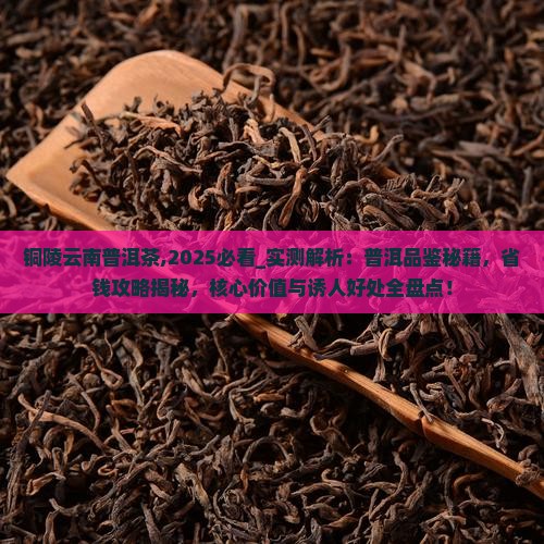 铜陵云南普洱茶