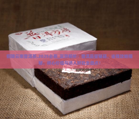 铜陵云南普洱茶