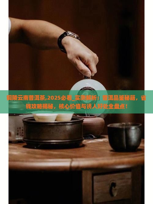 铜陵云南普洱茶