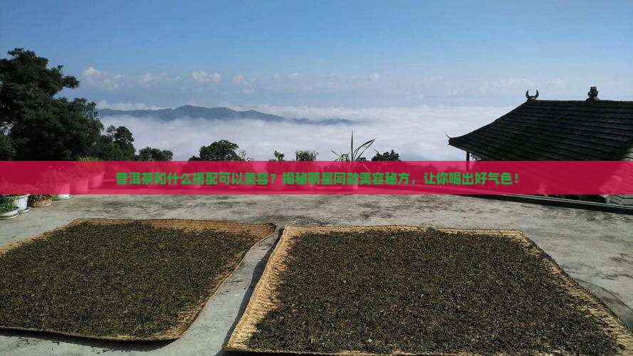 普洱茶和什么搭配可以美容