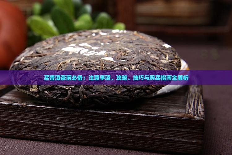 买普洱茶前必备